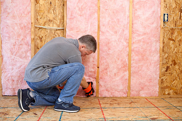 Best Insulation Installation Cost  in USA